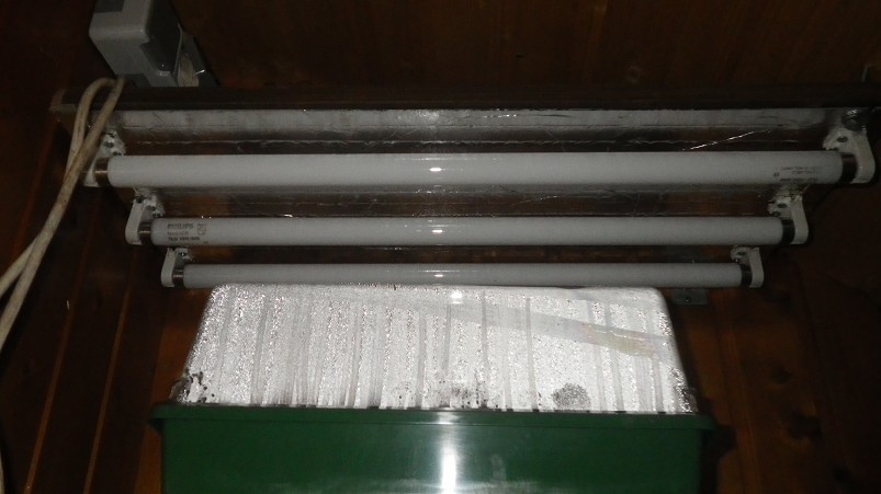 IMGP3051.JPG