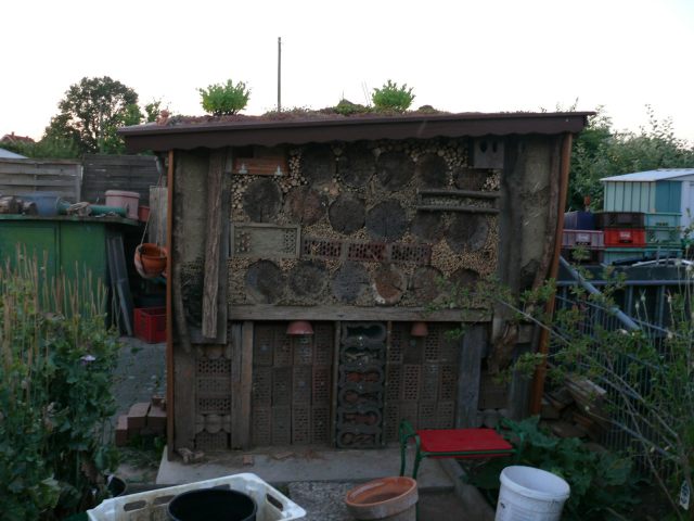 Insektenhotel Ökostation Bergkamen 001.jpg