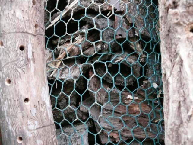 Insektenhotel Ökostation Bergkamen 012.jpg