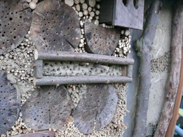 Insektenhotel Ökostation Bergkamen 018.jpg