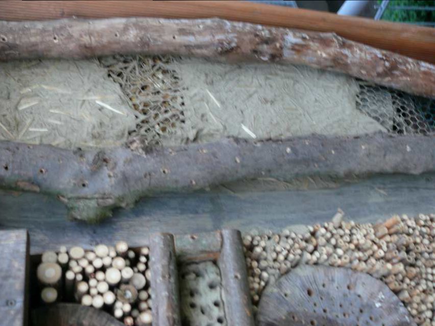 Insektenhotel Ökostation Bergkamen 019.jpg