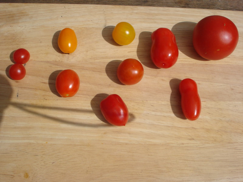Ketchup00.JPG