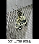 kopievonab1920003gep0v.jpg