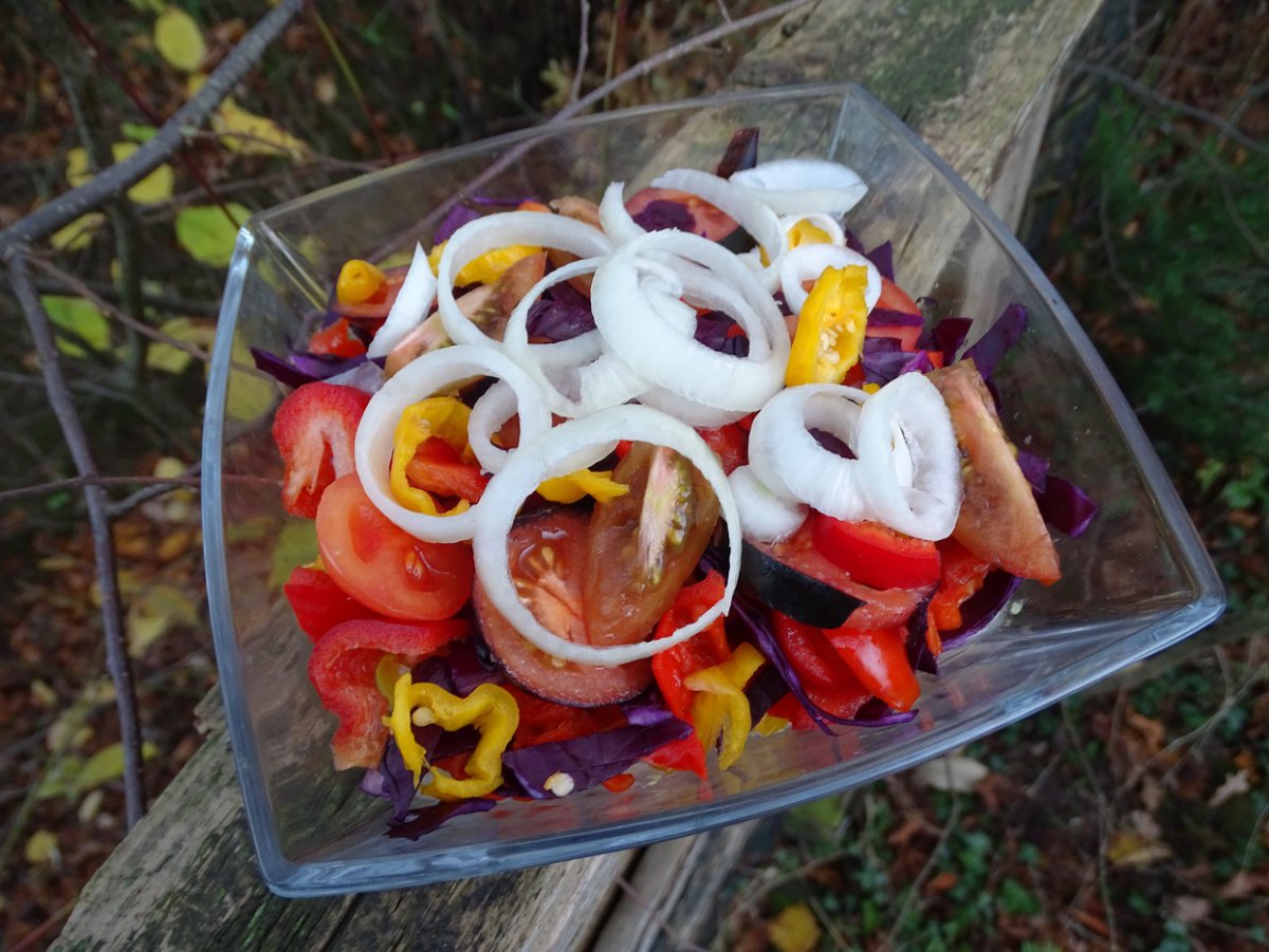letzter Salat.jpg