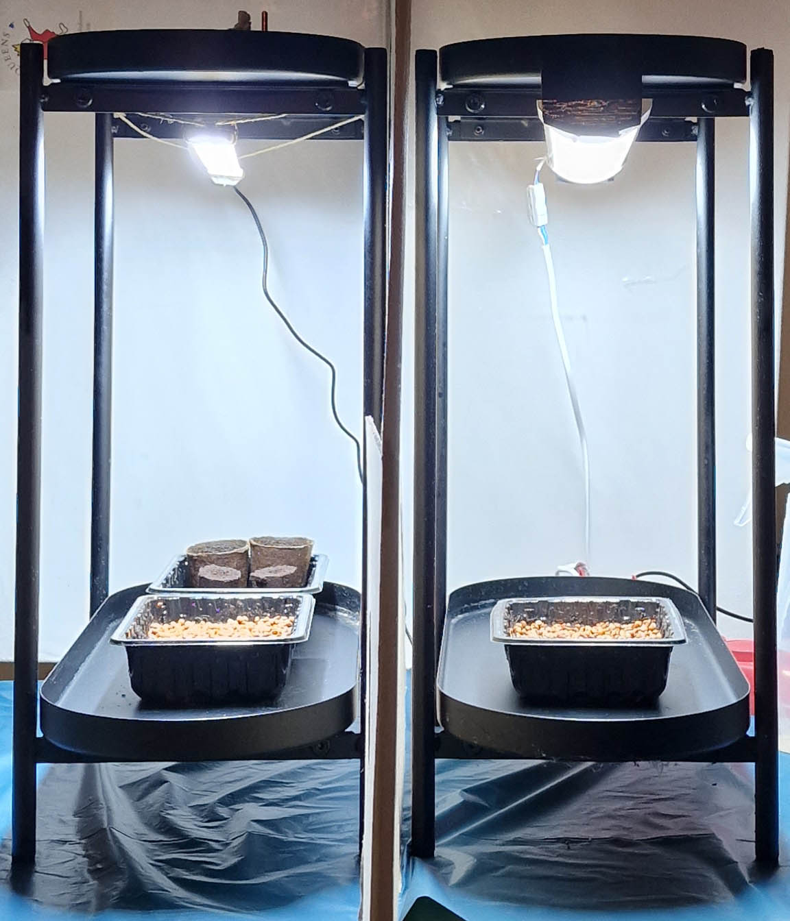 lichttest1.jpg
