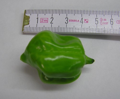 m_P1010003.JPG