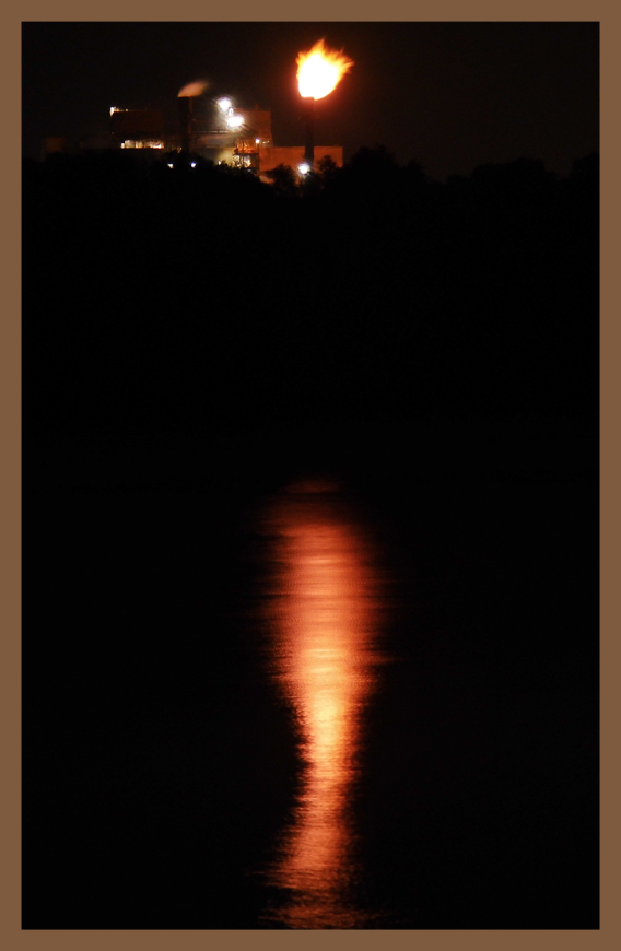 Moon_Wisura-6.jpg