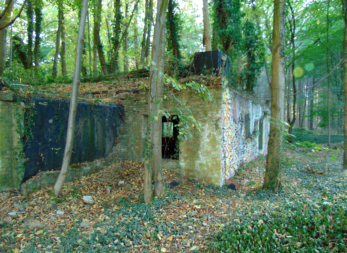 MUNA-Gebaeude-6.jpg