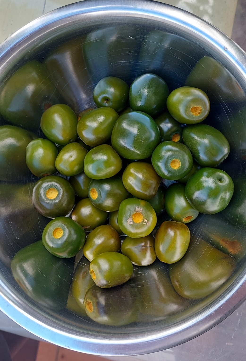 olive_mini_ernte.jpg