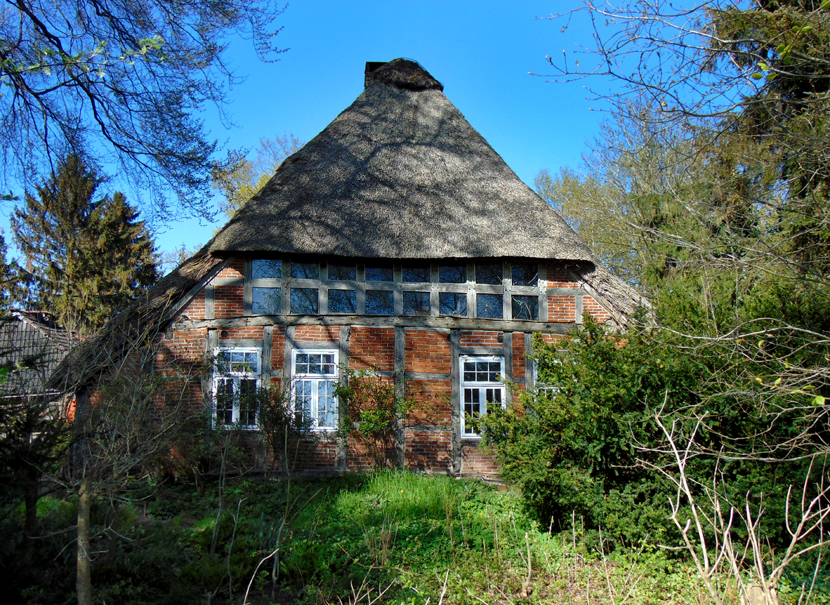 Ollenermoor.jpg