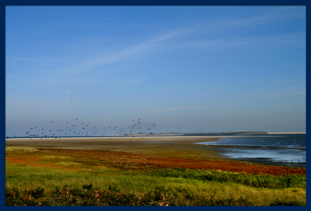 Ostende_Flugshow.jpg