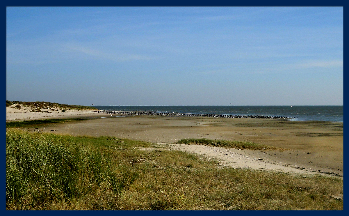 Ostende_Seehundbaenke-3.jpg