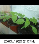 p10001796uv8.jpg