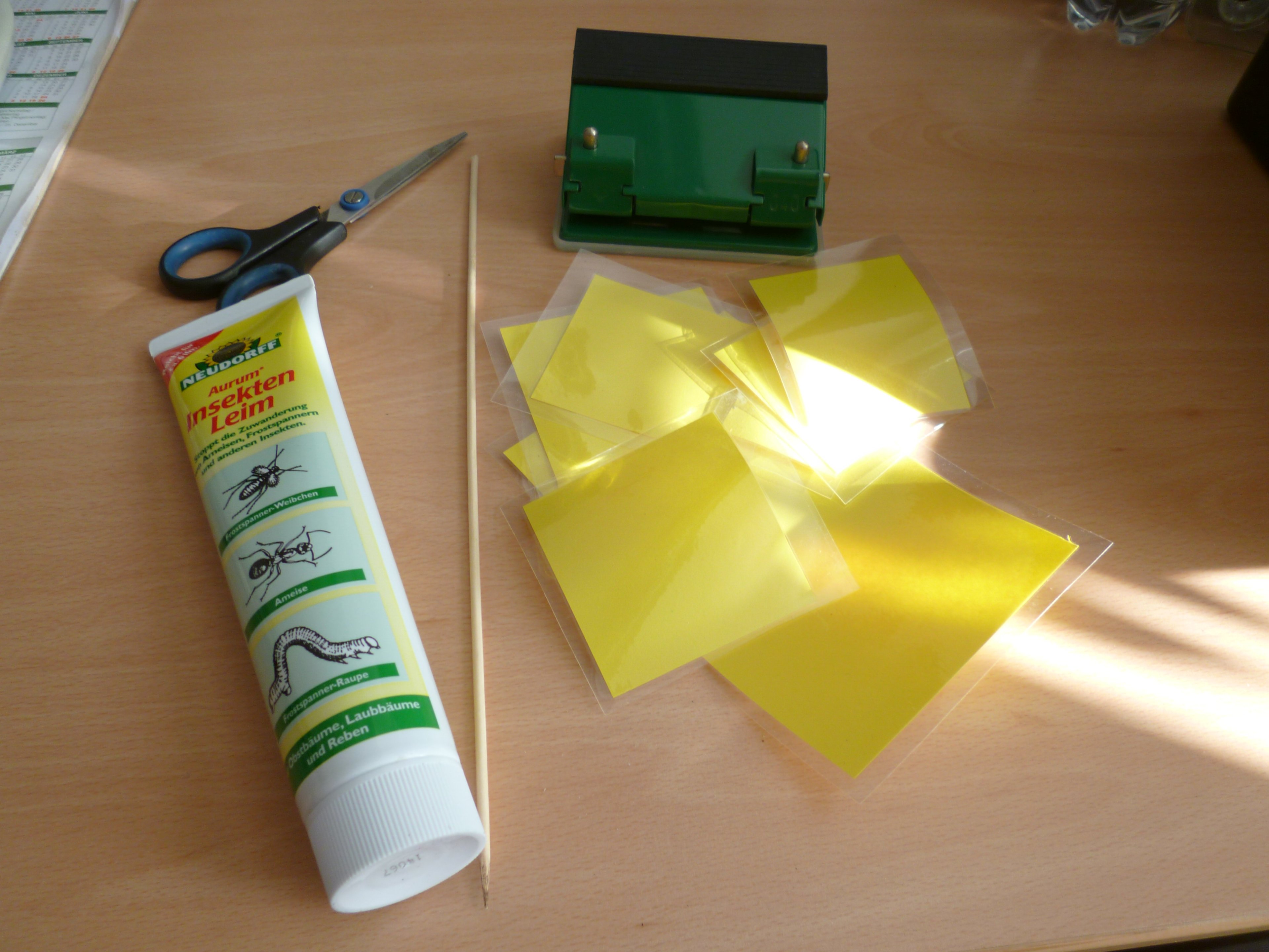 P1010993.JPG