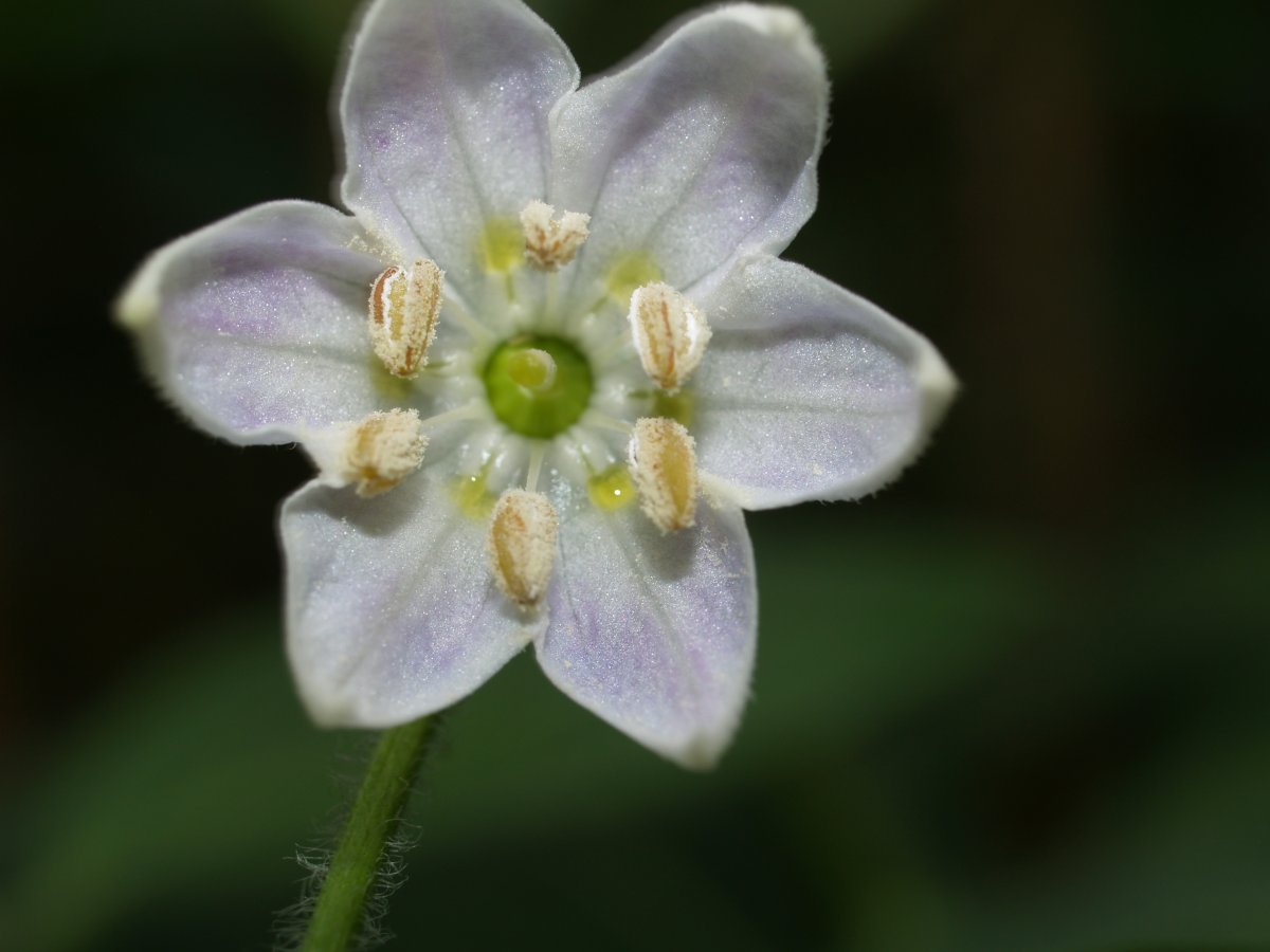 P1012346.JPG