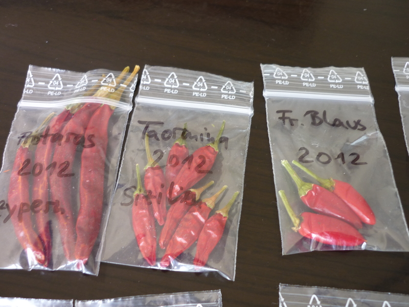 p1030036juijd.jpg