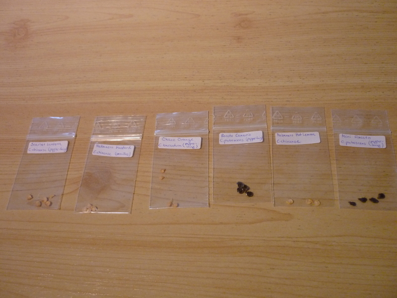 p10304838casv.jpg