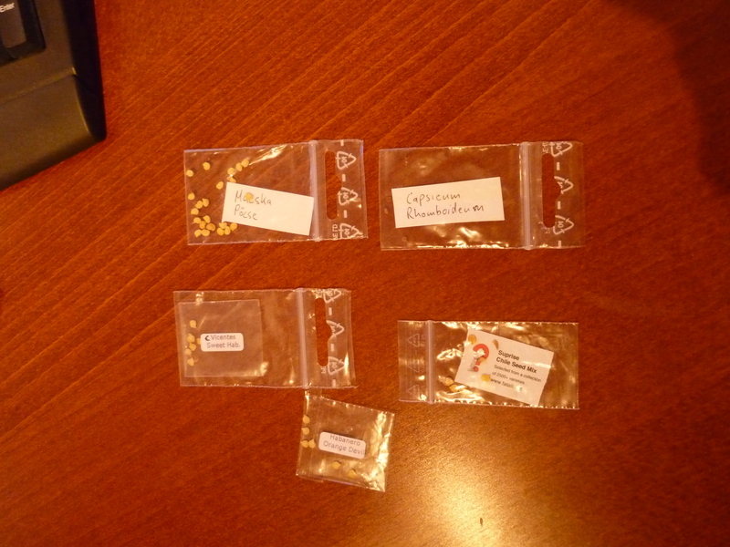 p1030561stumh.jpg