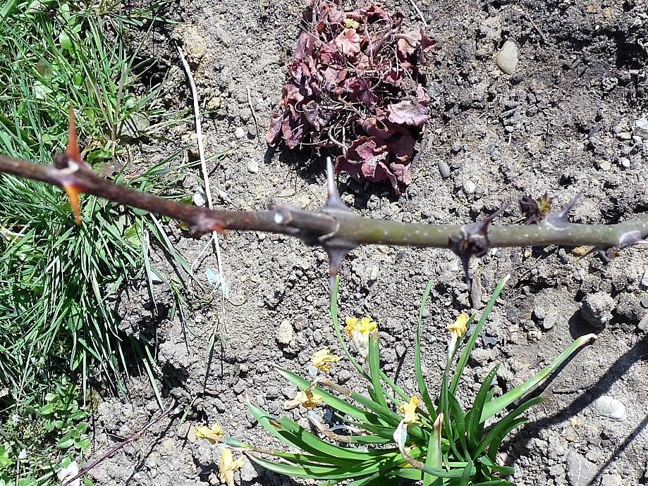 P1090170.JPG