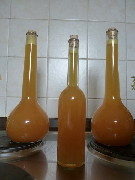 P1090339 - Kopie.JPG