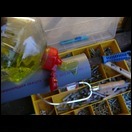 p1220976xbrho.jpg