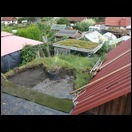 p1230040xhozp.jpg