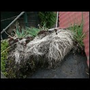 p1230065xqo35.jpg