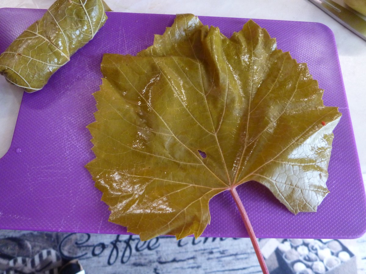 P1230473.JPG