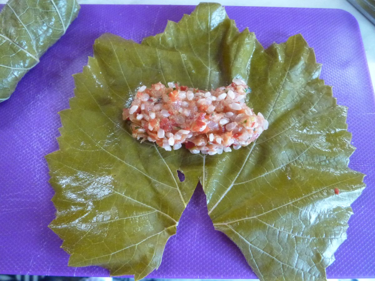 P1230474.JPG