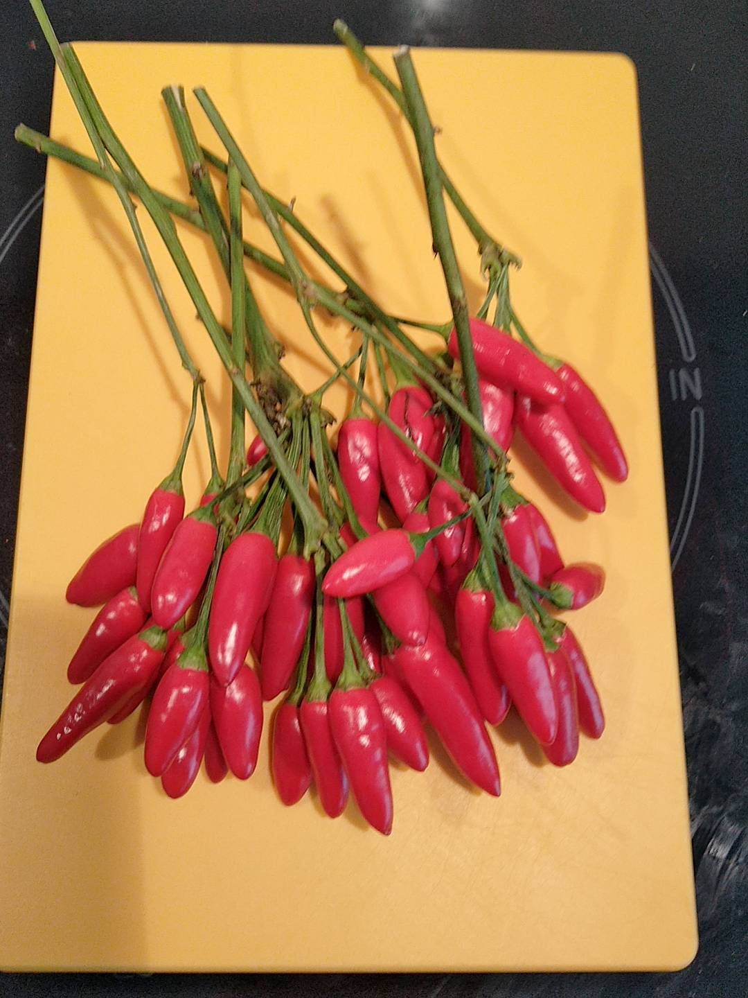 peperoncini.jpg