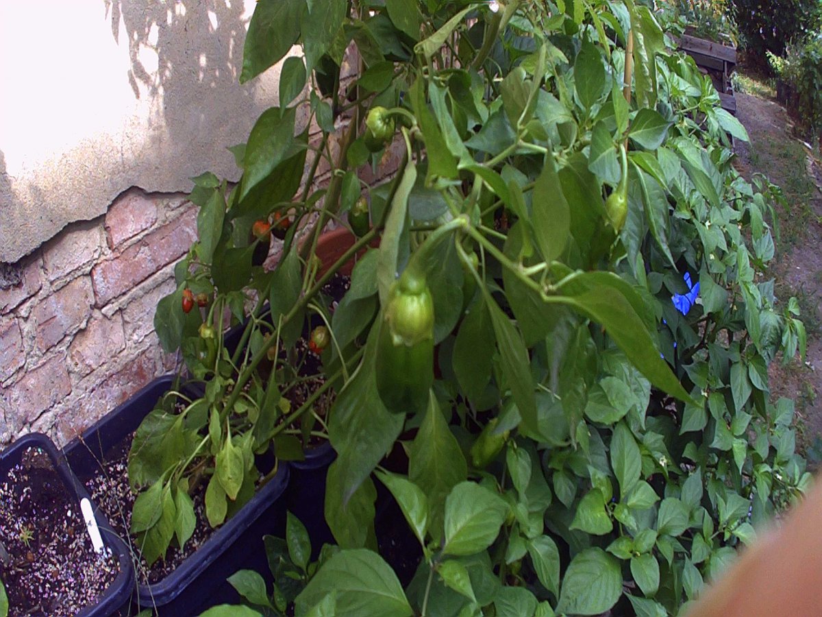 PHO00010.JPG