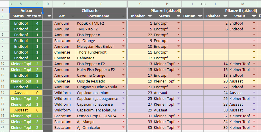 plan.PNG