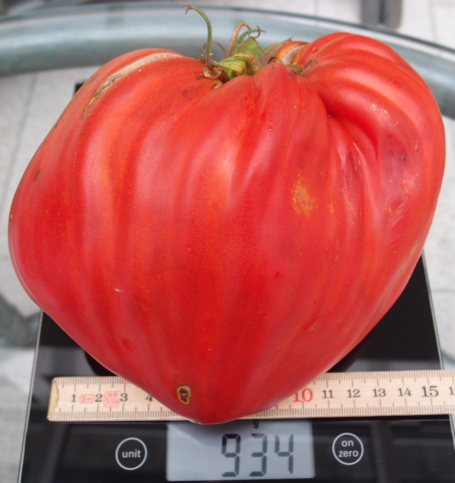Pomodoro Cuore Antico die Acqui Terme - Frucht.jpg