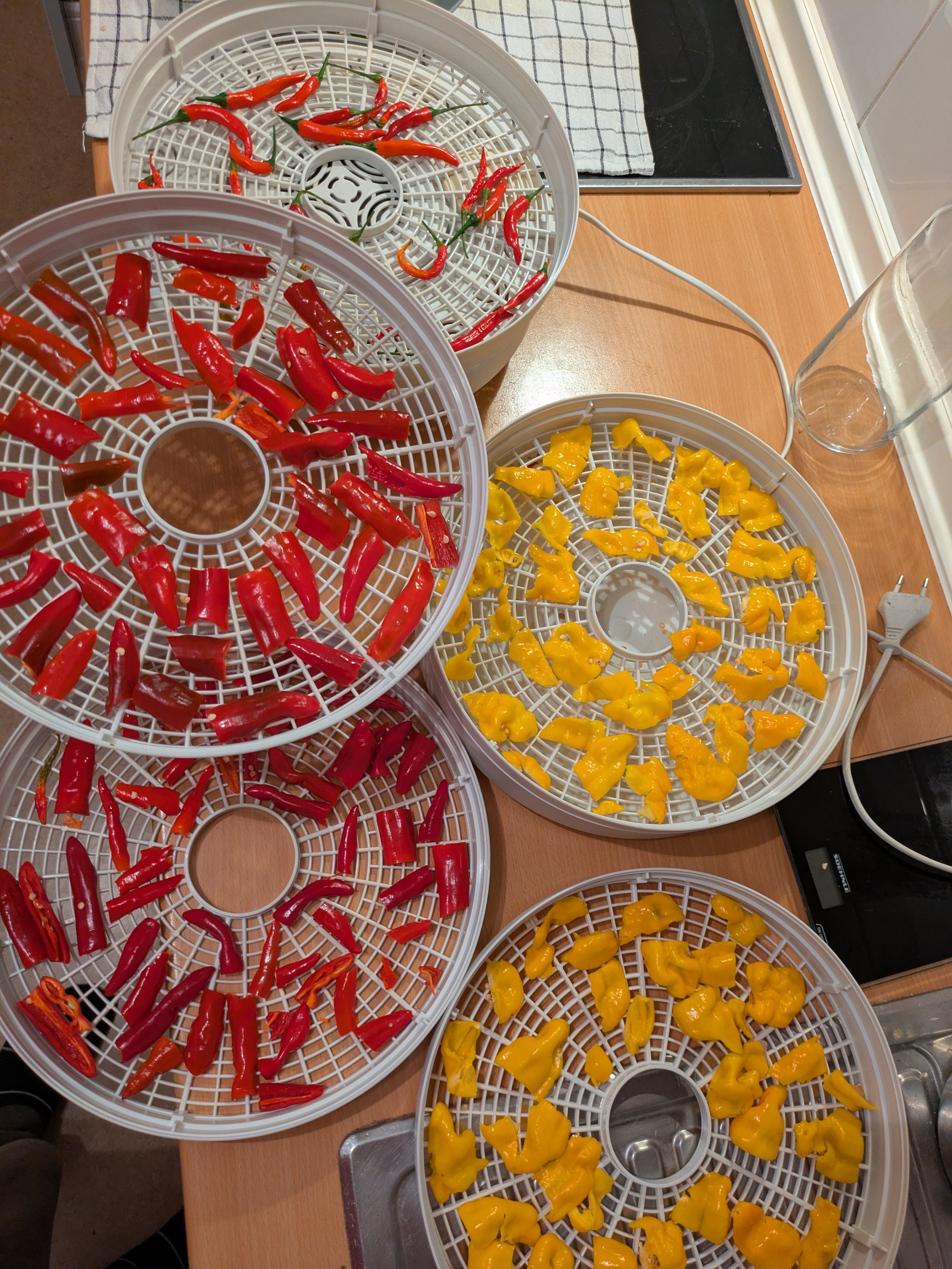 PXL_20250904_200035451.RAW-01.COVER.jpg