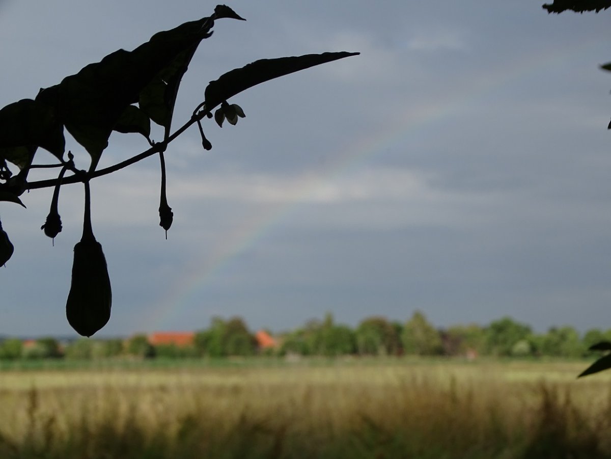 Regenbogen.jpg