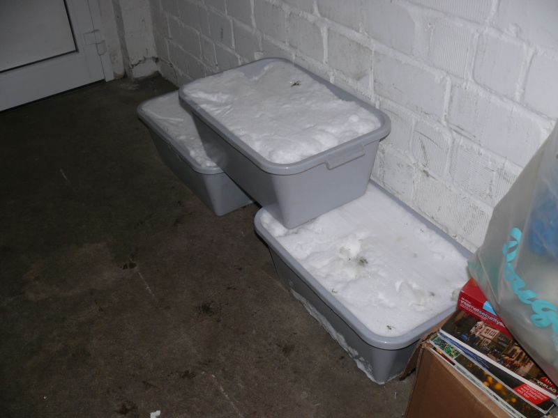 Regenwasser zum Gießen (5).jpg