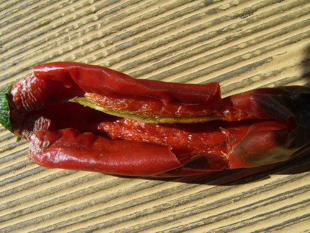 RIMG0045.jpg