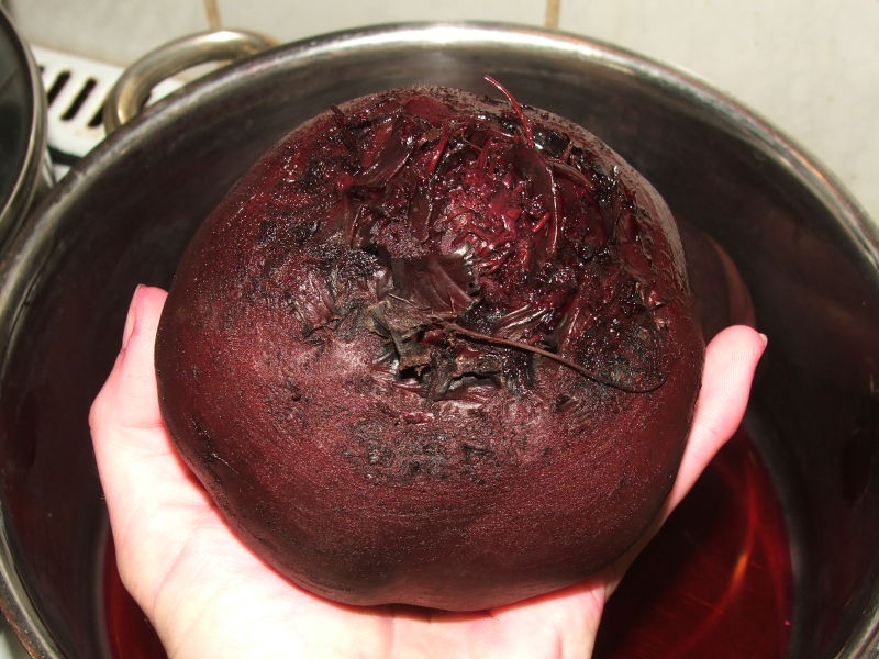 rotebeetegekocht.jpg