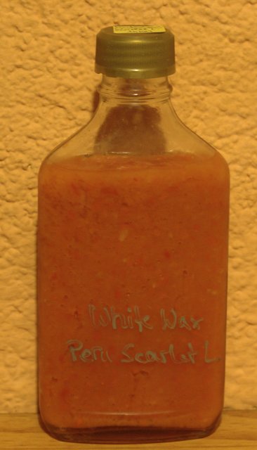 sauce-cristalwhitewaxperuscarletl.jpg