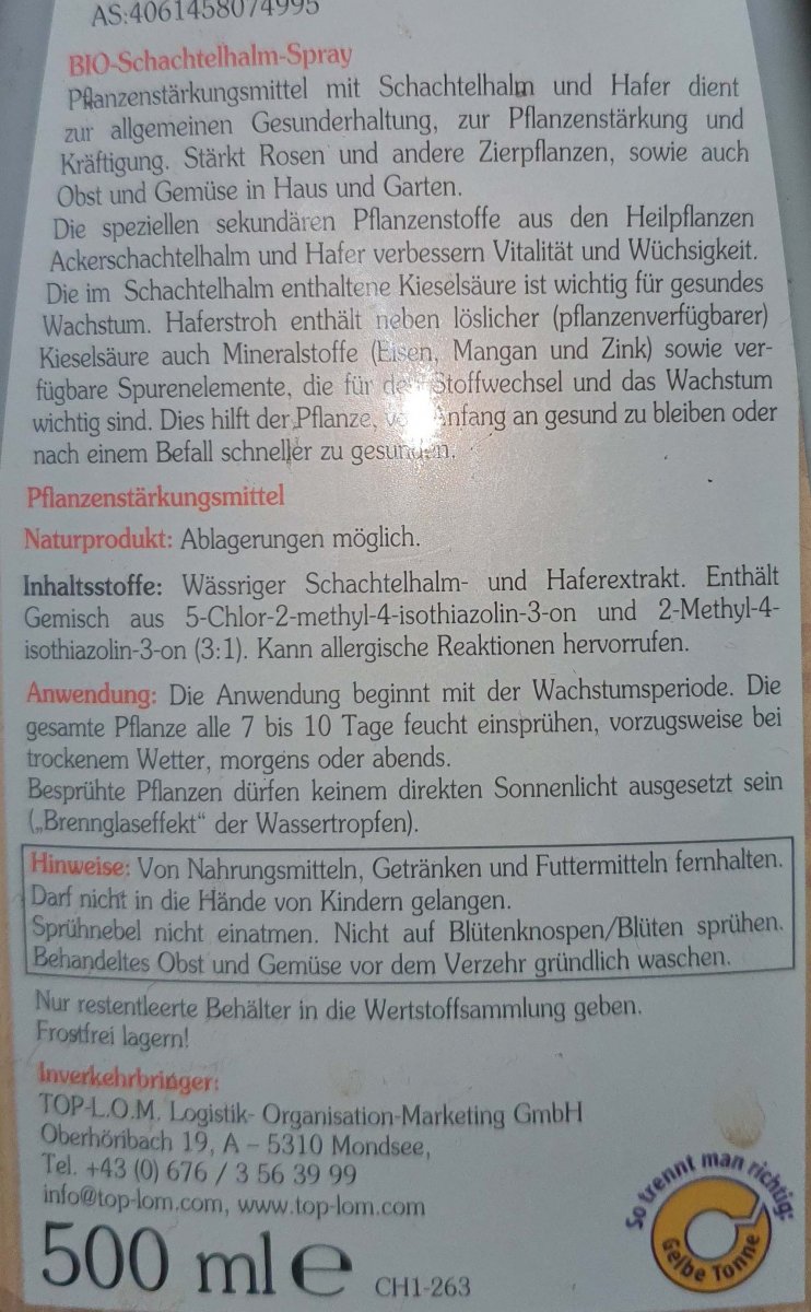schachtelhalm.jpg