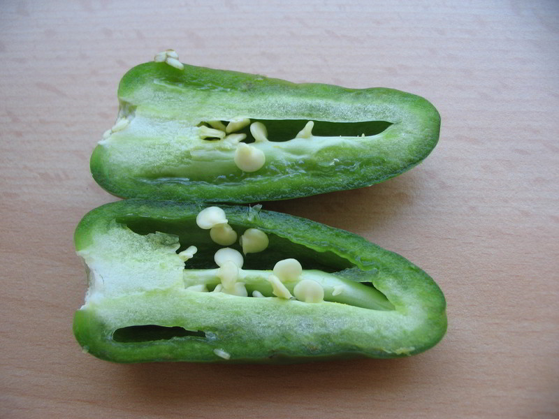 Schaden Jalapenos 04 - 20082011.jpg