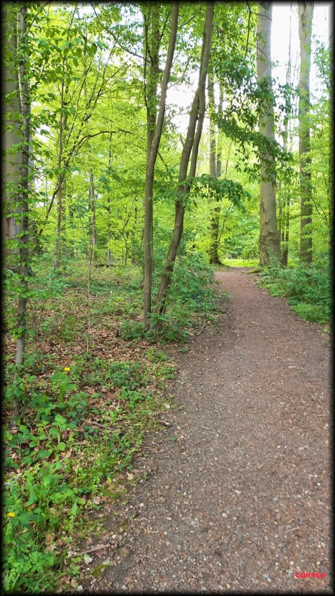 Spaziergang 13052021_.jpg