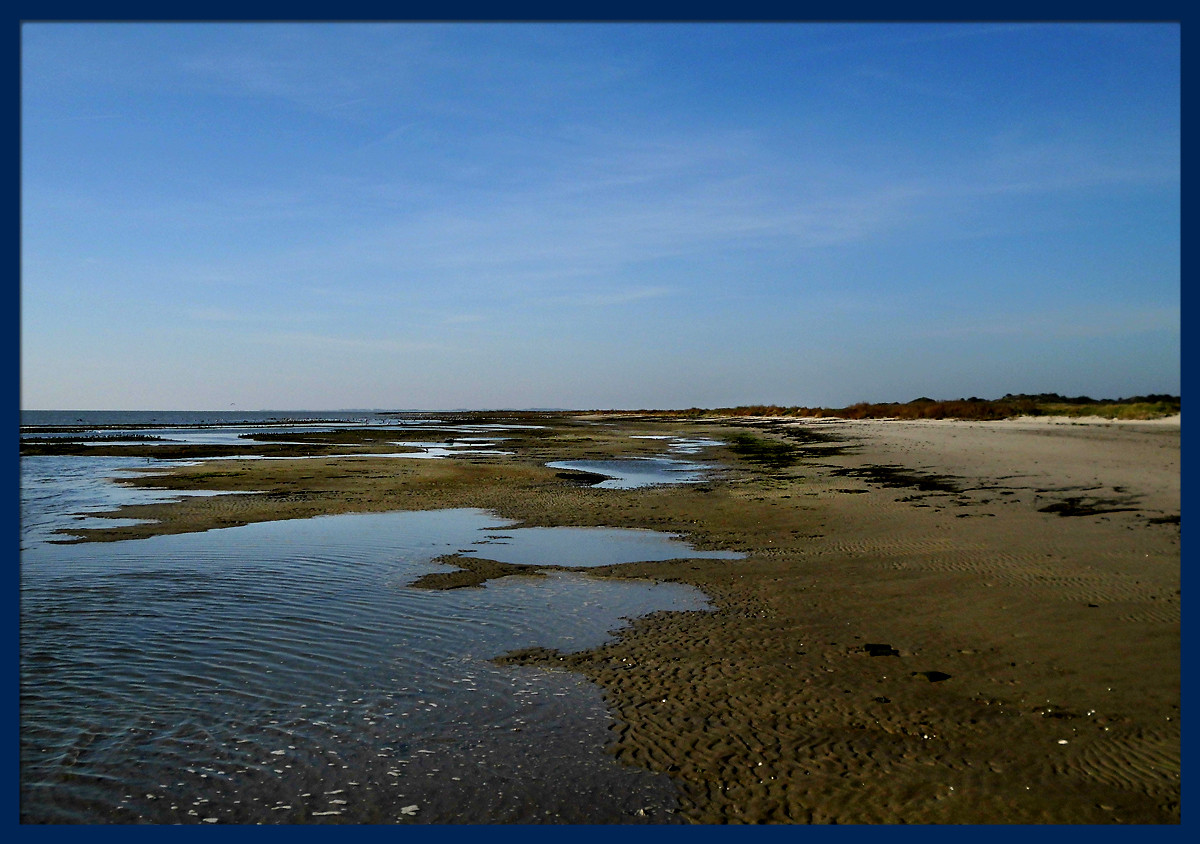 Strand_Wattseite-3.jpg