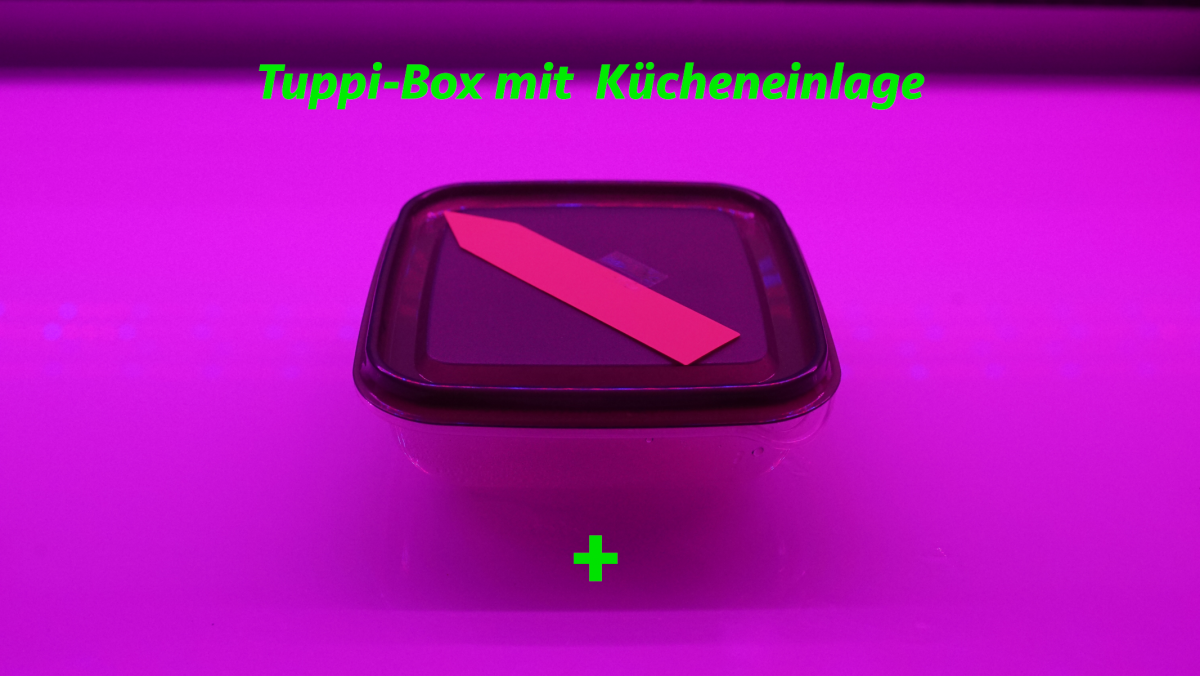 TuppiB.png