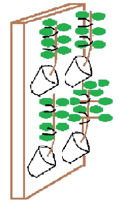 vertical.jpg