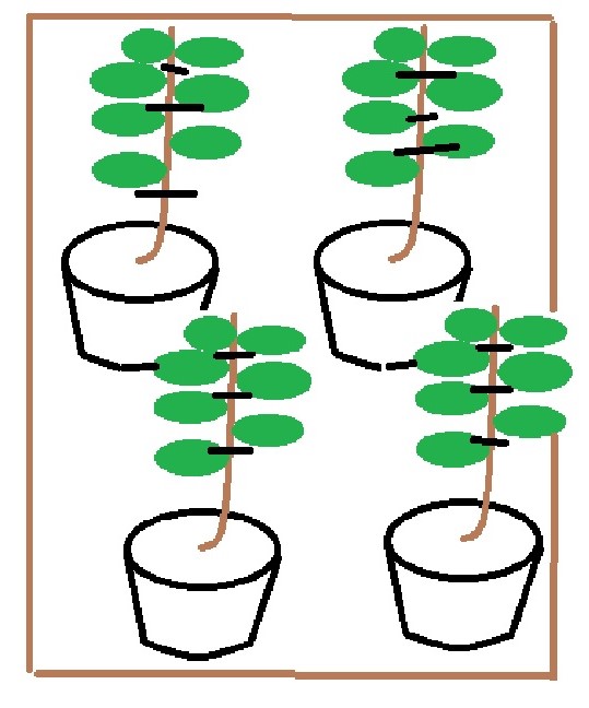 vertical2.jpg