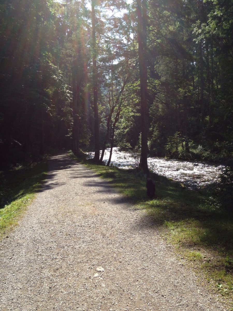 walk9.jpg