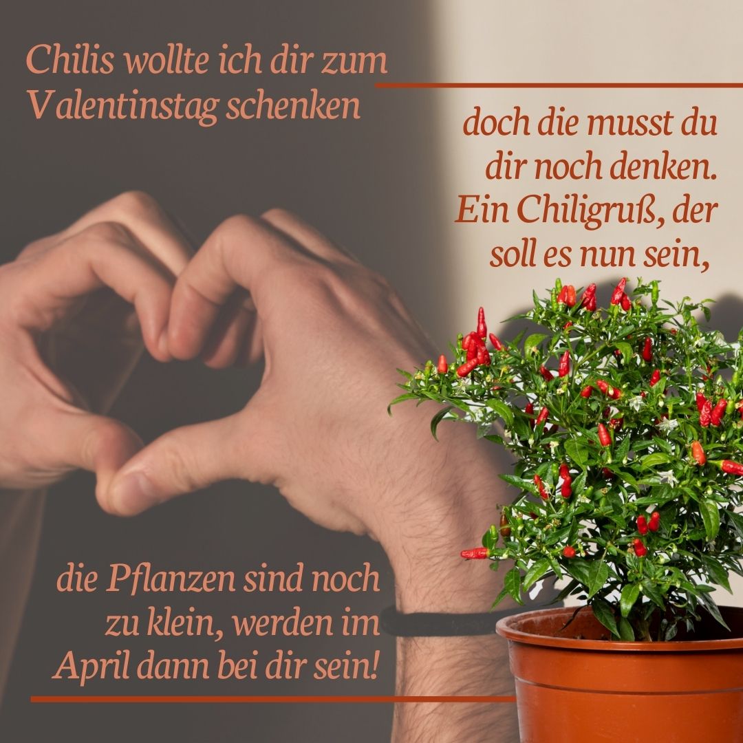 Wartburgspruch (1).jpg