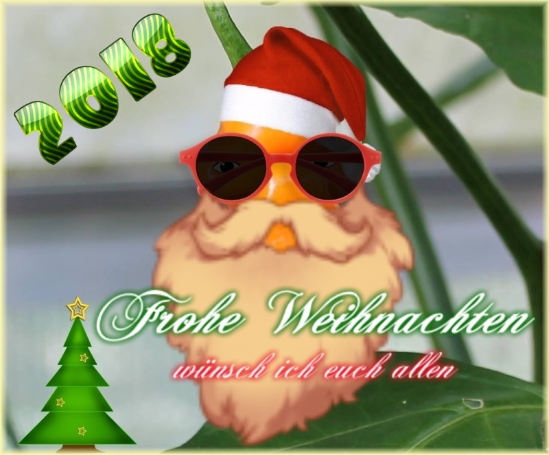 Weihnachtsgruß Guenter.jpg