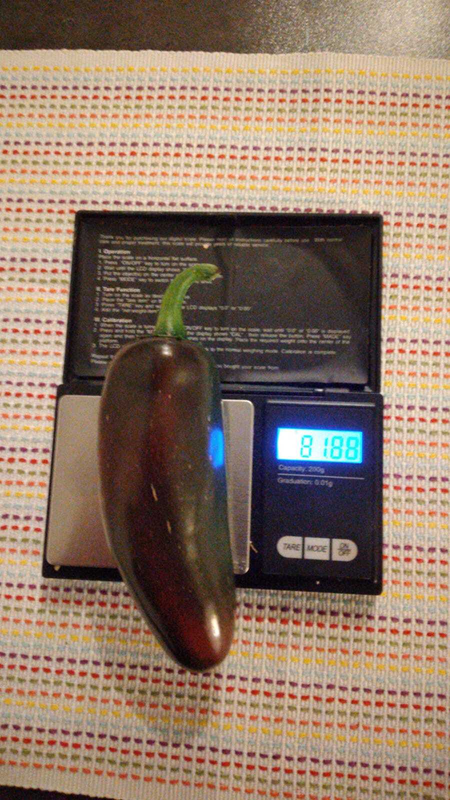 WhatsApp Bild 2020-11-18 um 18.33.33 (1).jpg